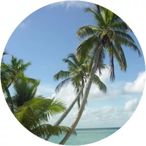 Unseen Islands - TV program