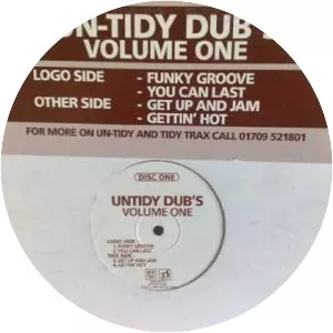 Untidy Dubs