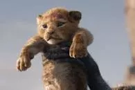Up Simba!