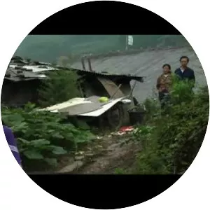 Up the Yangtze - 2007 ‧ 1h 33m