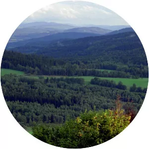 Upper Palatine Forest