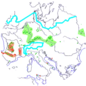 Upper Paleolithic - Geologic time period