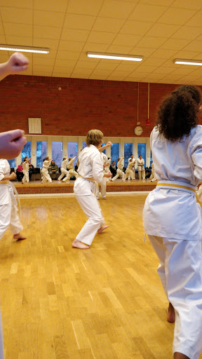 Uppsala Kyokushin Karate - Martial arts school in Uppsala, Sweden