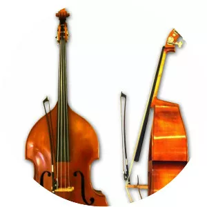 Upright Basses