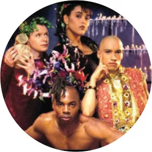 Urban Cookie Collective