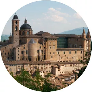 Urbino