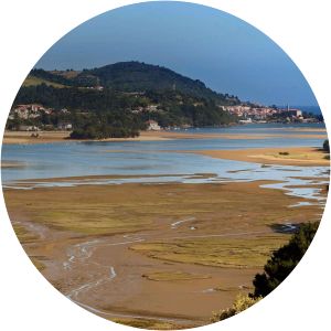 Urdaibai - 