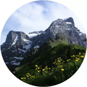 Uri-Rotstock - Mountain in Switzerland