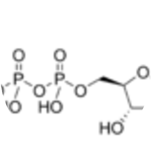 Uridine diphosphate N-acetylglucosamine - 