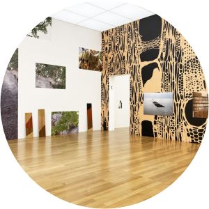 Uriel Orlow - Author