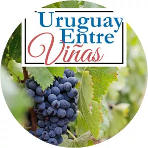 Uruguay entre viñasSince 2019