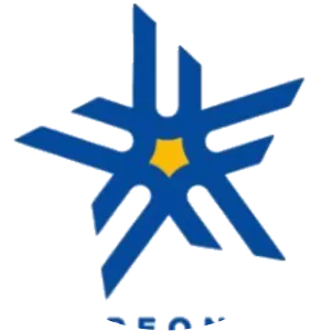 Uruguayan Primera División - Football league