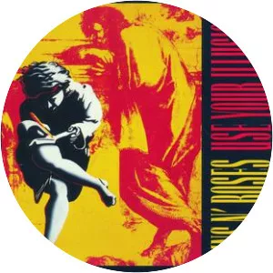 Use Your Illusion I photograph