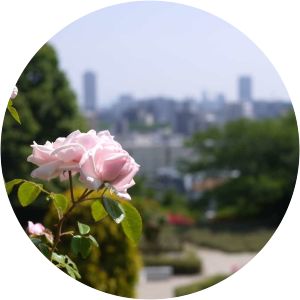 Ushita Sogo-Koen Hiroshima - 