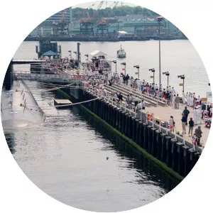 USS Alabama (SSBN731)