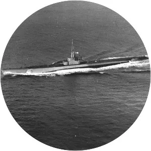 USS Blower