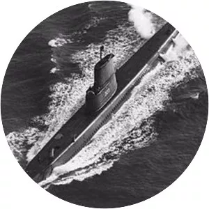 USS Caiman