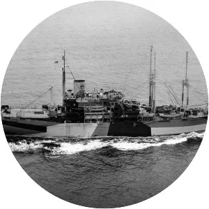 USS Cumberland Sound (AV-17) - 