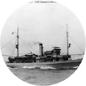 USS Gannet (AM-41)