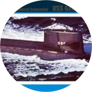 USS George Washington (SSBN-598) - George Washington-class submarine