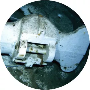 USS Indianapolis - Portland class