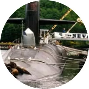 USS Nevada (SSBN-733)