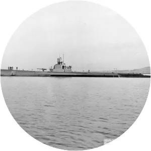 USS Pompon