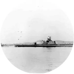 USS Ray