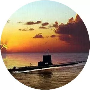 USS Sea Fox (SS-402) - Vessel