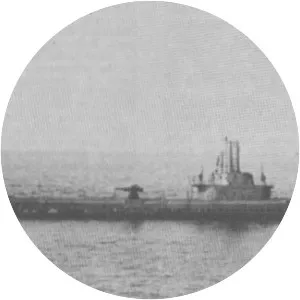 USS Sea Robin (SS-407)