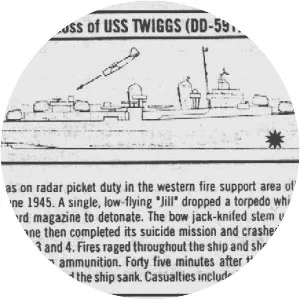 USS Twiggs (DD-591)