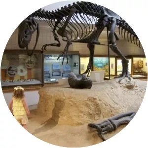 USU Eastern Prehistoric Museum - 