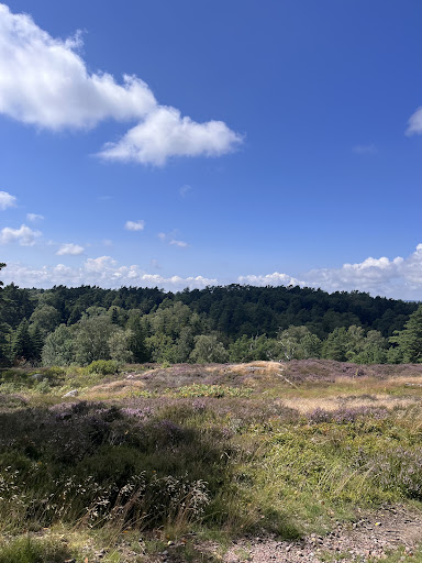 Utsiktspunkt Ljunghede - Scenic spot in Molndal, Sweden