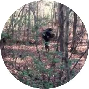 Uwharrie National Forest