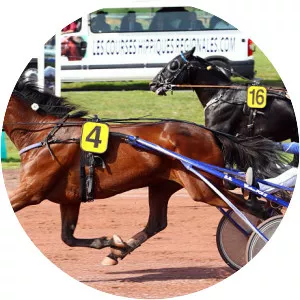 Uza Josselyn - Horse