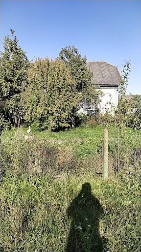 v. Berezhnytsia - Bus stop in Ukraine
