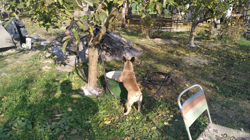 v. Berezove  - Bus station in the Stari Bezradychi, Ukraine