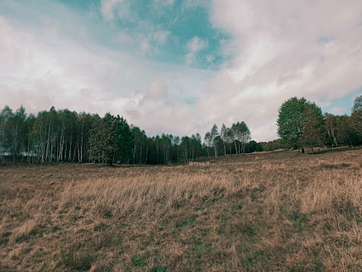 v. Derevach - Bus station in Derevach, Ukraine
