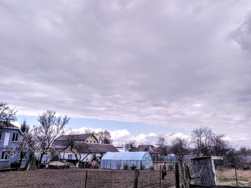 v. Hora - Bus stop in Ukraine