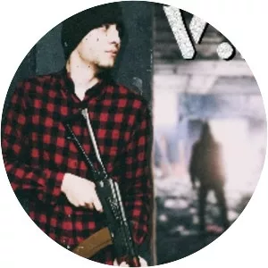 V. L. A. D. i. K - Video game