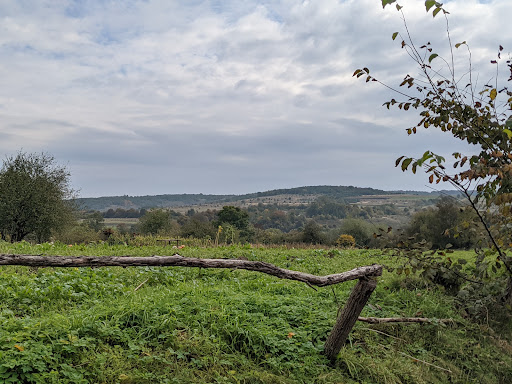 v. Ladantsi - Bus stop in Ladantsi, Ukraine