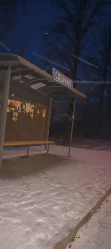 v. Smerekiv - Bus stop in Ukraine
