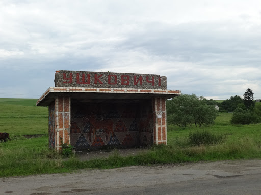 v. Ushkovychi - Bus stop in Ushkovychi, Ukraine
