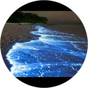 Vaadhoo - Island in the Maldives