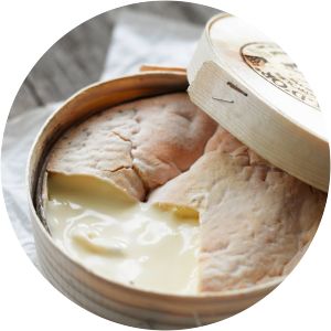 Vacherin