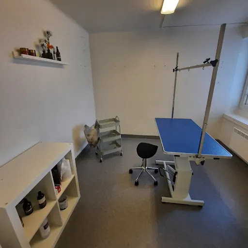 Vackra Hundar Olivias Hundsalong - Pet groomer in Sweden