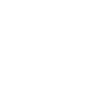 Václav Fajfr & Acustrio