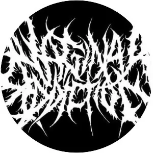 Vaginal Addiction - Musical artist