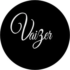 Vaizer - Musical artist