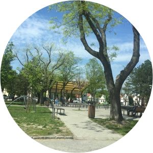 vajnorské jazero park pod lipami